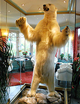 Polar Bear at the Weisser Bar Hotel photo