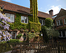 Ivy Chimney Montagu Arms