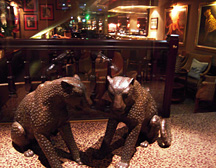 Leopards at d'Angleterre bar