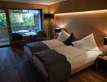 Hotel Schwarzler Room