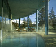 Carlton Hotel Spa Pool photo