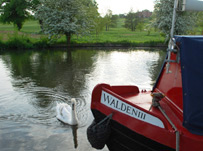 Grand Union Canal The Grove photo