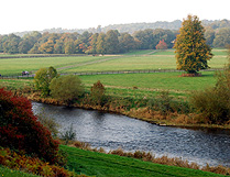 River Nore and Ballylinch Stud View Mt Juliet photo