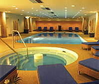 Vienna Marriot indoor pool photo
